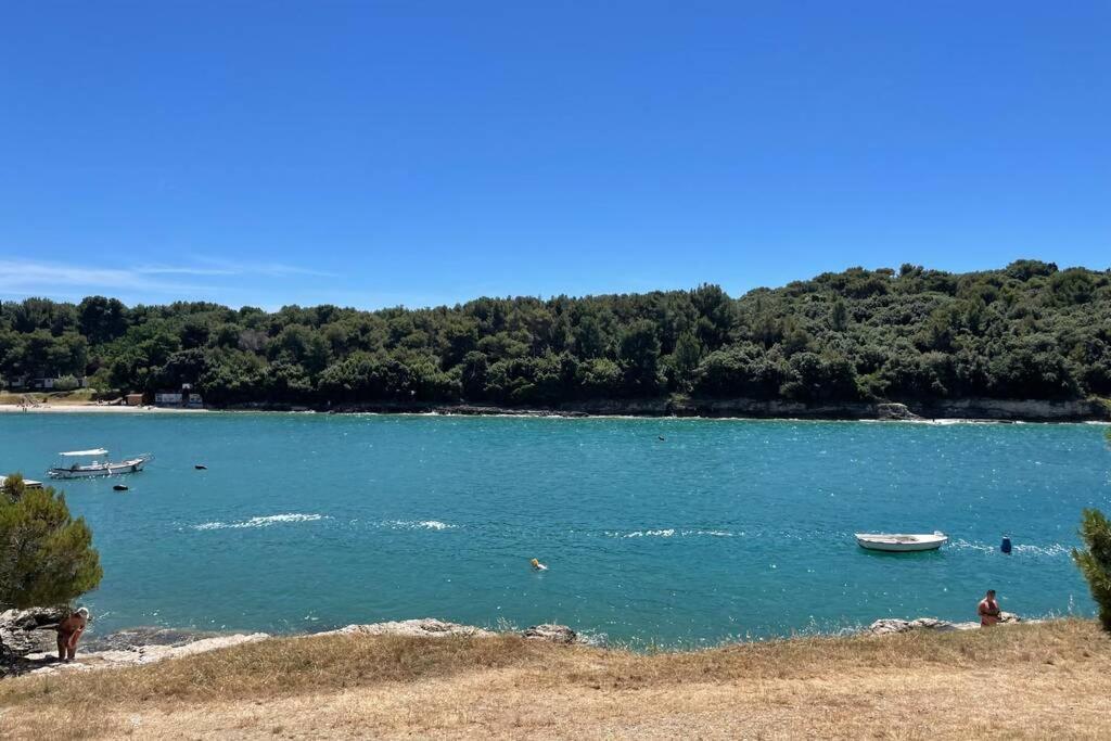Apartman House Marea-newly Renovated 100m From The Sea Pula