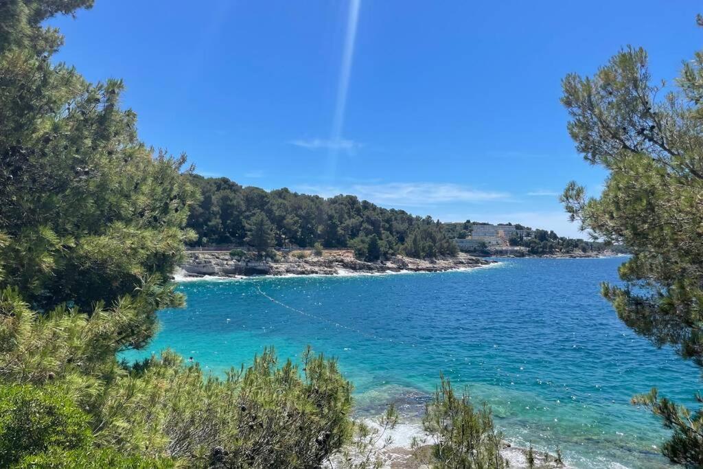 Apartman House Marea-newly Renovated 100m From The Sea Pula