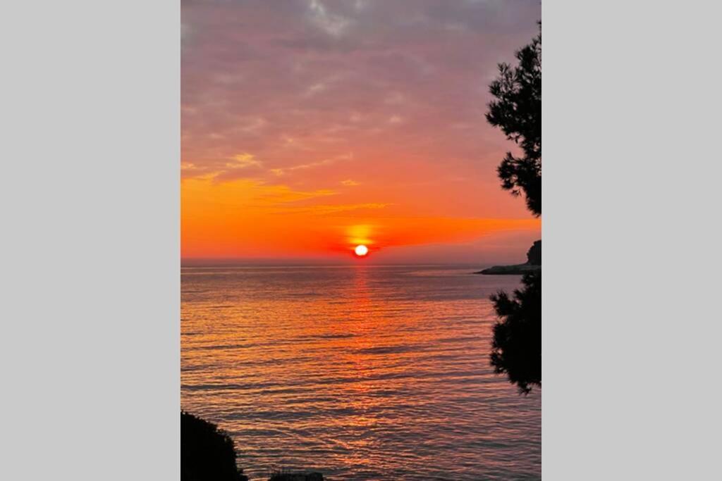 House Marea-newly Renovated 100m From The Sea Apartment Pula