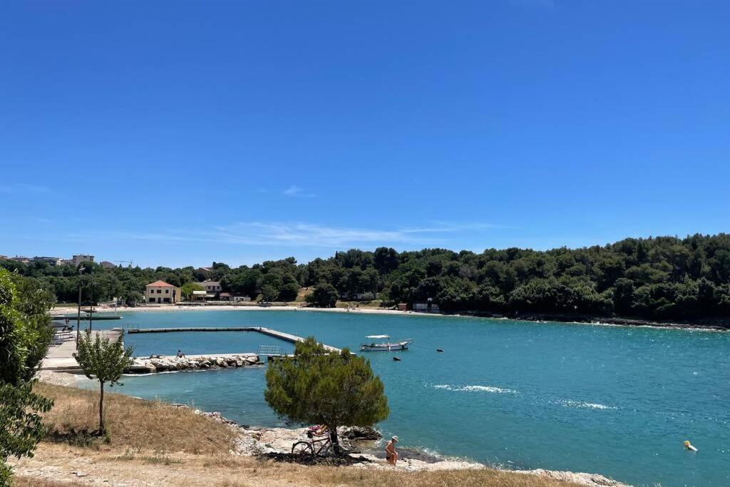 House Marea-newly Renovated 100m From The Sea Apartment