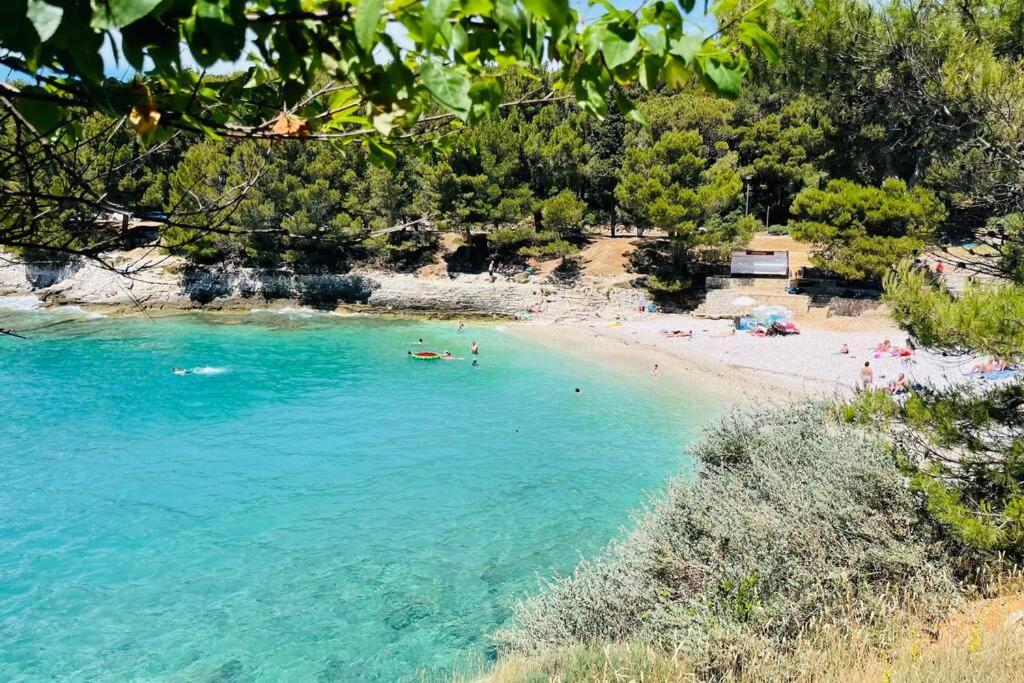 House Marea-newly Renovated 100m From The Sea Apartment Pula