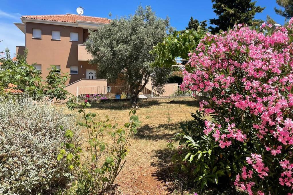 Apartment House Marea-newly Renovated 100m From The Sea *